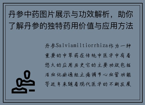 丹参中药图片展示与功效解析，助你了解丹参的独特药用价值与应用方法